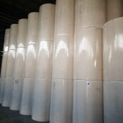 IMG_20230729_105821(1)